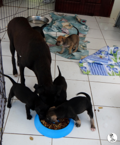 9Kyla en janis klein