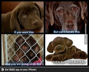 f67116db3cffb3e63777554cf92c5a6f