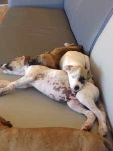 12443123_1101122256585823_807357866_n