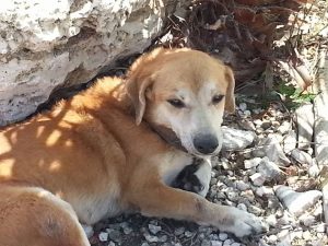 12825503_10207554352031794_1712575108_n