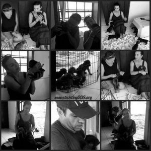 12920275_491714874353737_880818180750419634_n