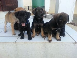 12969236_10207868651889094_1360350086_n