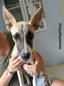 12988059_10207893856239187_1151085701_n