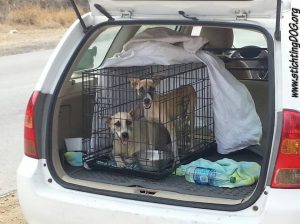 12992206_10207893856079183_1953227995_n