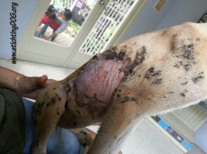 13020505_10207893856319189_83699178_n