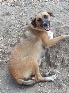 vangen 6 mrt 16 (22)