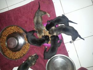 12674234_10207620189517690_1716094077_n