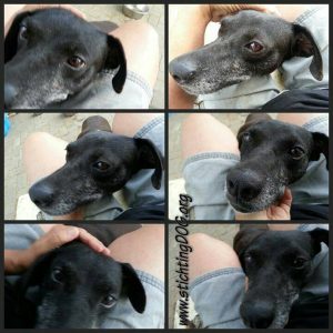 12987987_10207851134731176_1414341502_n