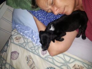 12992264_10207882265589428_1335507921_n