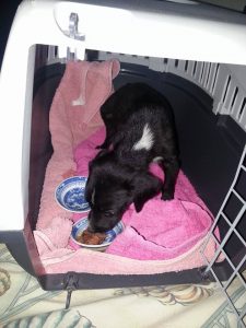 12992331_10207882262989363_1058972745_n