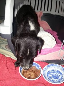 12992962_10207882262109341_1387577470_n