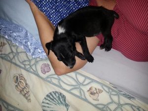 13020138_10207882265949437_1119112573_n