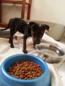 13020423_10207974924305838_1143642521_n