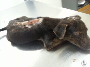 13081967_10207974926505893_656047393_n