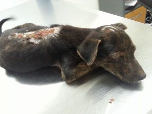 13089999_10207974924825851_1794084108_n