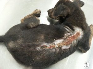 13090113_10207974926025881_1722157774_n