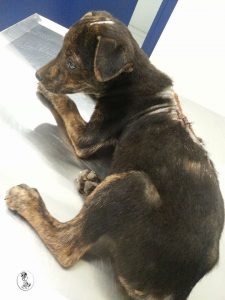 13090132_10207974927585920_1647552647_n