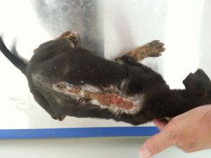 13101018_10207974929705973_2051927918_n