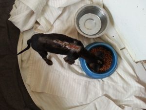 13101077_10207974925505868_913848098_n (1)