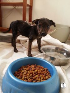 13115371_10207974923385815_1072778774_n