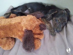 13115552_10207974920985755_514557137_n