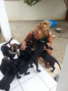 13149991_10207996488404927_1191979397_n