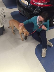 13233357_942080465891367_533615664_n