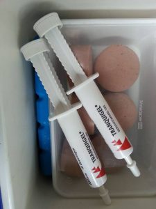 13236172_10208091813347991_495171835_n