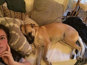 13236187_10209355405381720_1418908370_n