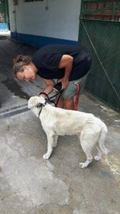 13245445_238181099871189_1315190233416177127_n