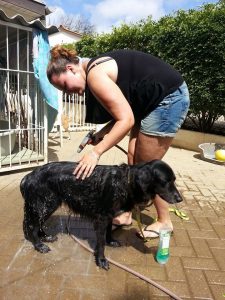 13249450_10208148111395407_1586675013_n