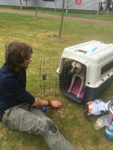 13249596_10209353065283219_1737694380_n