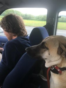 13250573_10209353067843283_609580367_n