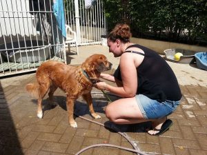 13275905_10208148111235403_838211499_n