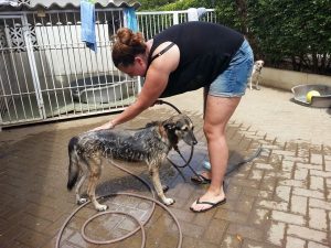 13285540_10208148111115400_865628713_n