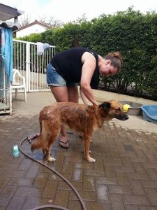 13285583_10208148111555411_1958712505_n