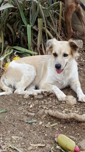 13625360_10208508187517085_315895829_n