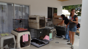 19ster pr klein 29 mei II