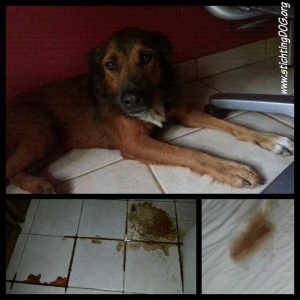 2016-05-19_14.25.54_wm