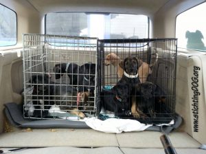 2de enting 1ste entin eind apr 16