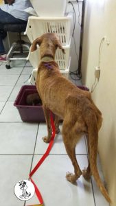 13336255_10208213146741250_1569751133_n