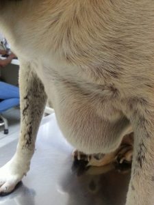 13336381_10208234069104296_810432935_n