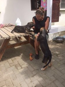 13342152_10208240915875461_1978868263_n