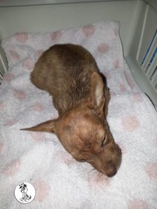 13342190_10208213153661423_623000879_n