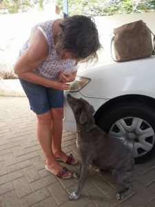 13348748_10208245466669228_496935296_n