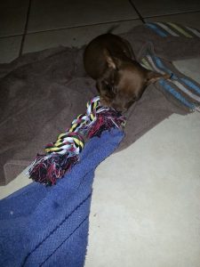 13391017_10208234067864265_1929551778_n