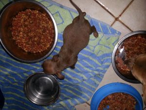 13391039_10208234066104221_1476190352_n