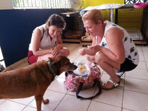 13393091_10208245466869233_434663328_n