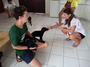 13393145_10208245466749230_502743208_n