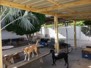 13435596_10208298358911501_1633202490_n